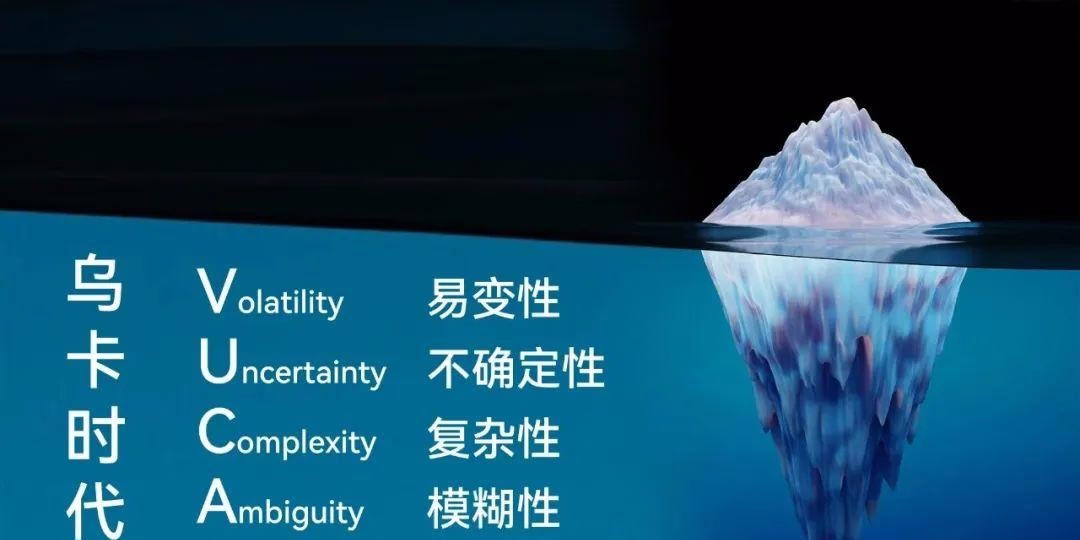 网友灵魂发问！想知道，大厂里35岁以上，熬不动的牛马们，后来都去干什么了？